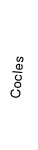 Cocles