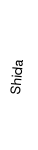 Shida