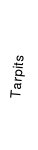 Tarpits