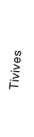 Tavives