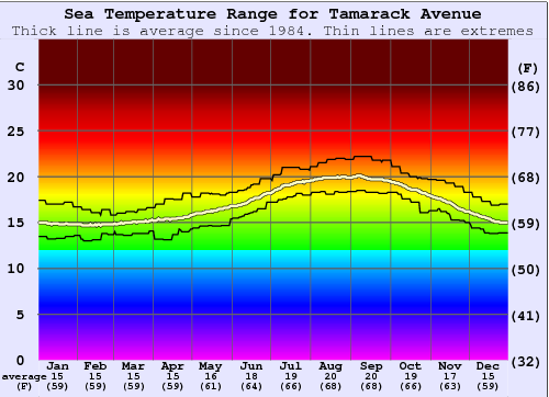 Tamarack Avenue Water Temperature Graph