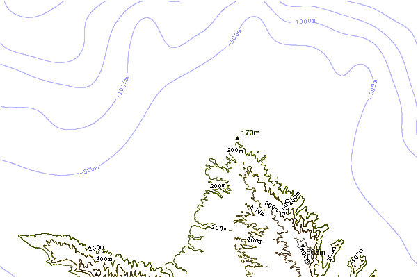 Shoreline around Backyards