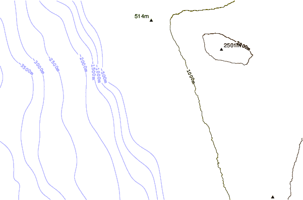 Shoreline around Banyans