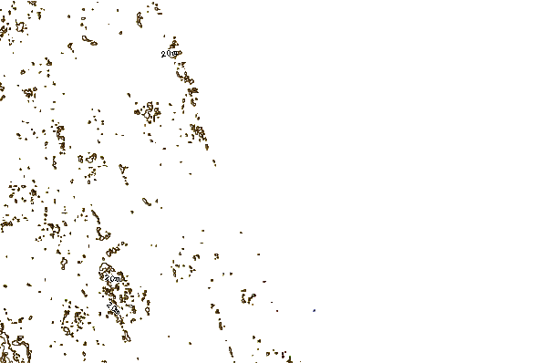 Shoreline around Bicentenial Park