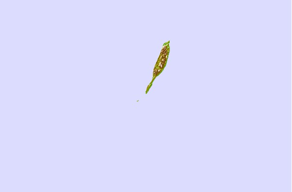 Surf spots located close to Coevity Island The Handle
