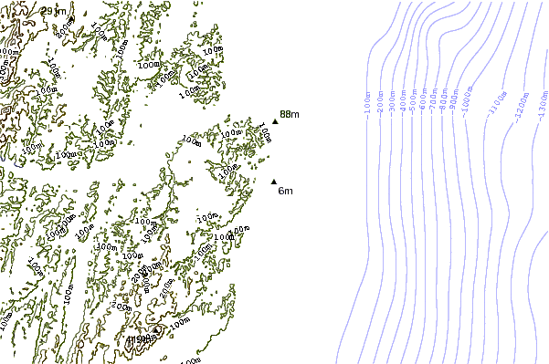 Shoreline around Engenhoca