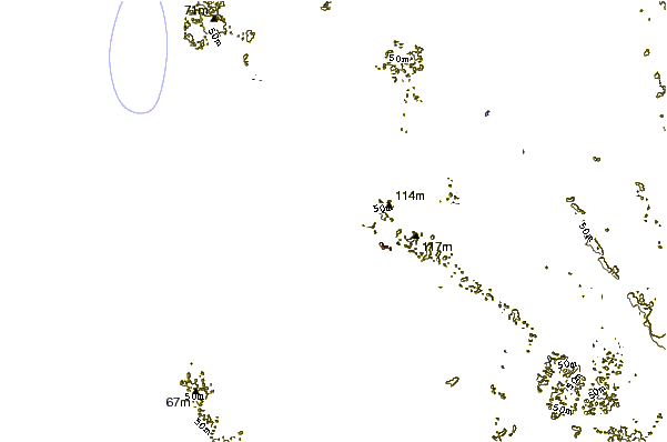 Shoreline around Gueque