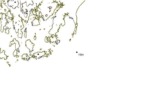 Shoreline around Monahans Dock