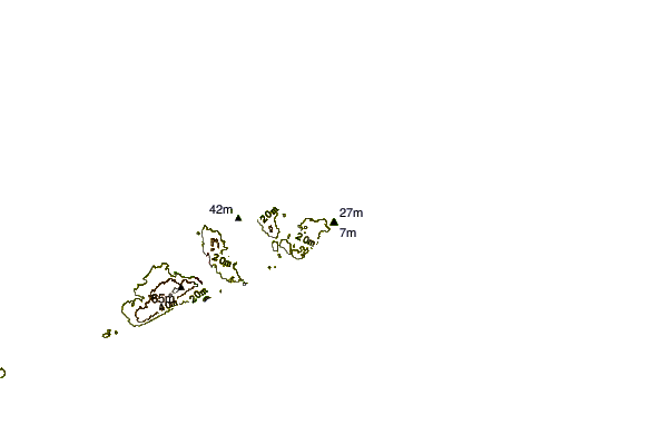 Shoreline around Montauk Point - Turtles