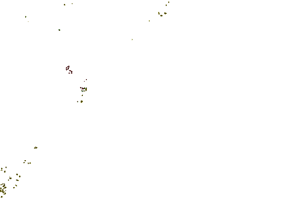 Shoreline around Oceanic Pier