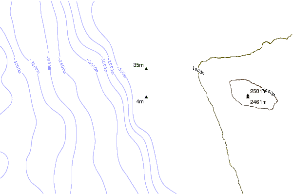 Shoreline around Pine Trees