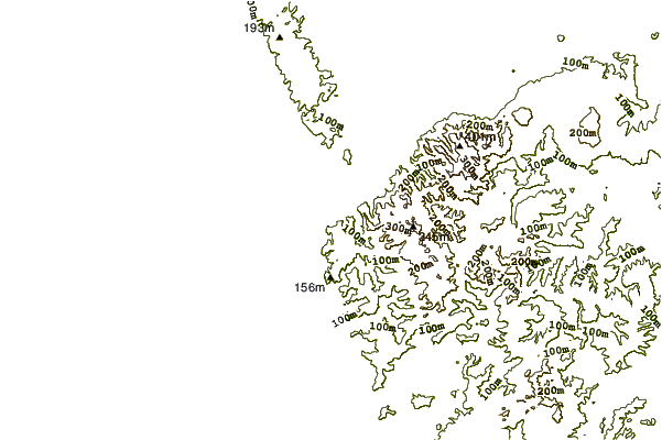 Shoreline around Port Waikato-The Reef