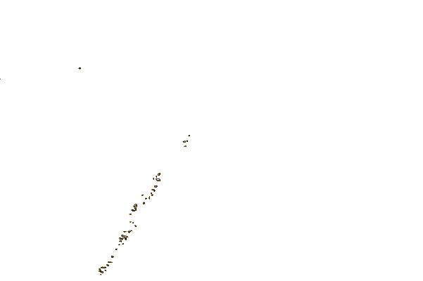 Shoreline around Punta Medanos