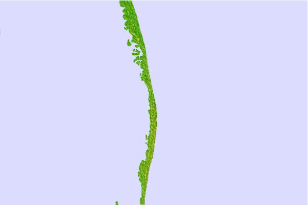 Surf spots located close to S-Turns