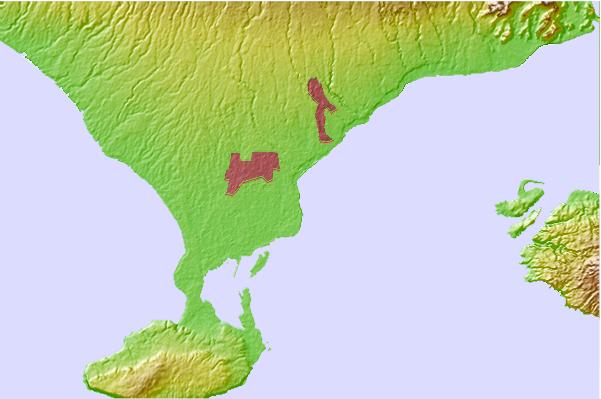 Surf spots located close to Sanur Reef