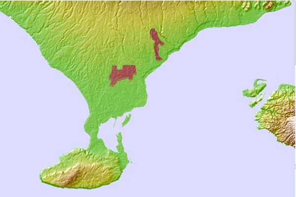 Surf spots located close to Tandjungs-Rights