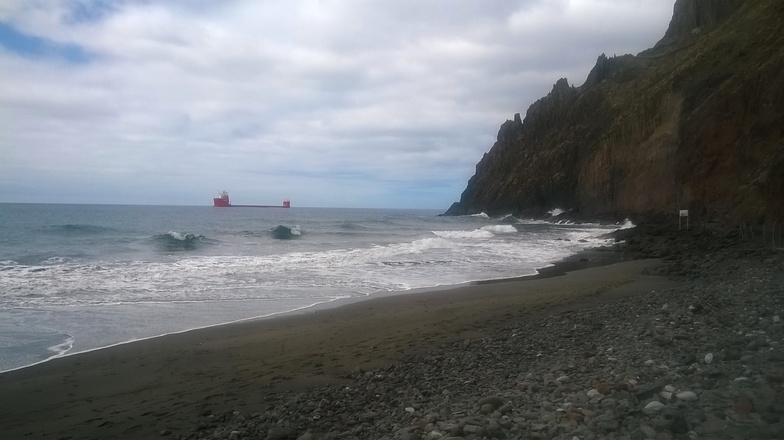 Las Gaviotas