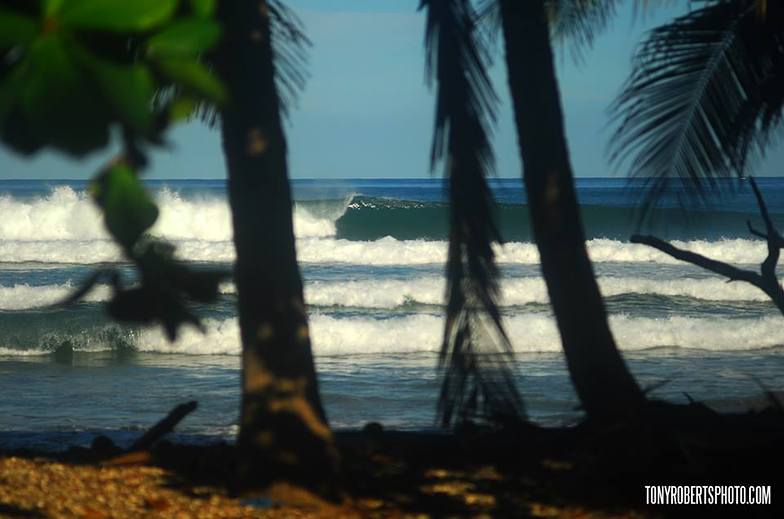 A Real Surf Vacation, Playa Negra
