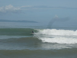 Aussie Ripper, Cimaja photo