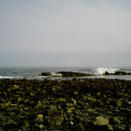 Hampton Beach