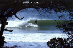 Devonport Rivermouth photo