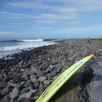 Gray Blue Green, Punta Mango