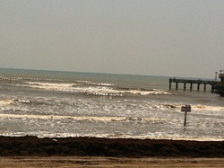 Galveston surf report