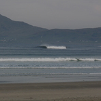 Danielle Swell at Carrownisky