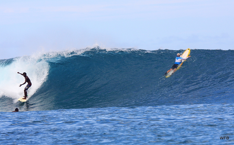 Nusa Lefts