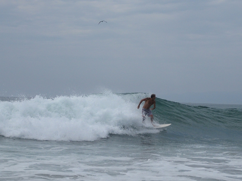Surfer, Gillis