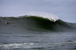 Actress bikini picture Redhead beach surf report
