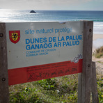 La Palue Dunes