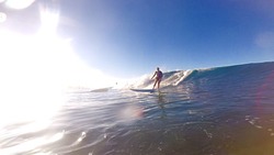 paradise surf