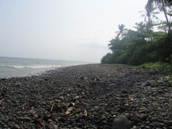 Cimaja photo