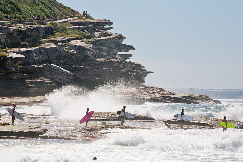 More from Tamma, Tamarama Reef