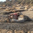 Surf_Berbere_Taghazout_Morocco