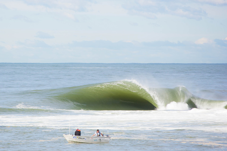 Shark Island Challenge, Cronulla