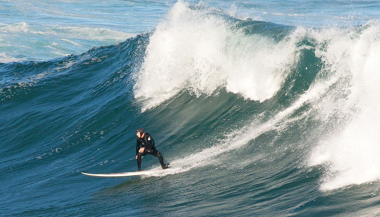 Howie is Local Legend, Coogee