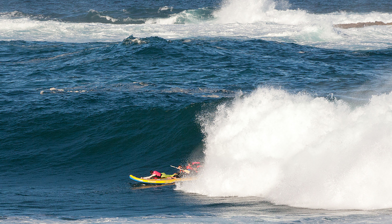 Coogee