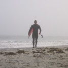 Foggy day