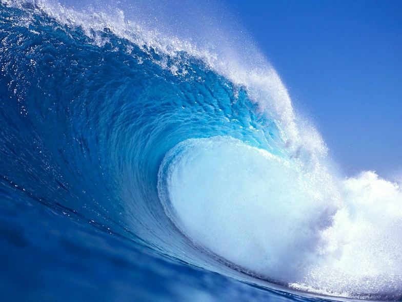 surf-a-hawaii