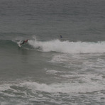 Cape Patterson