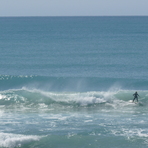Pines - small summer swell, Wainui Beach (Pines)