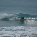 Pines - small summer swell, Pines (Wainui Beach)