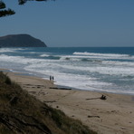 Pines - looking towards Makorori, Pines (Wainui Beach)