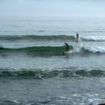 Loggin @ Crescent Head NSW