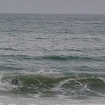 Oneroa Beach, Waiheke Island