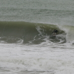 Unknown about to get slotted, Sandy Bay (Northland)
