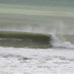unknown deep, Sandy Bay (Northland)