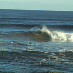 Cloudy Bay, Sequence shot - 3